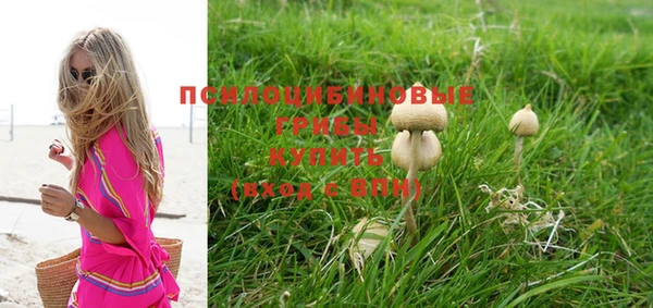 кокаин премиум Козловка