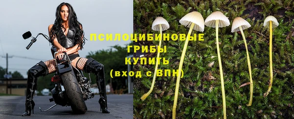 амф Костерёво